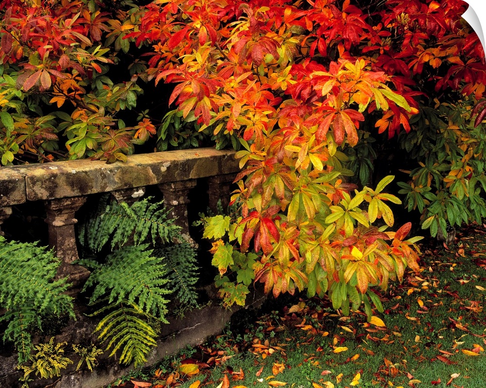 Balustrades and Autumn Colours, Castlewellan, Co Down, Ireland