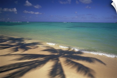 Beach Shoreline With Palm Tree Shadows
