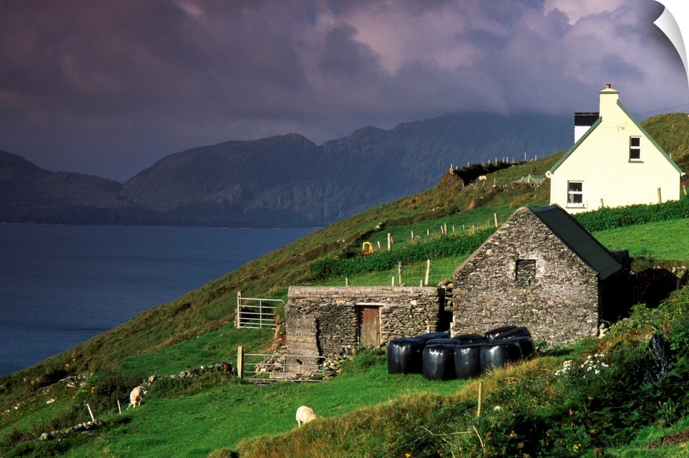 Beara Peninsula, County Cork, Ireland; Rustic Farmhouses On Hill