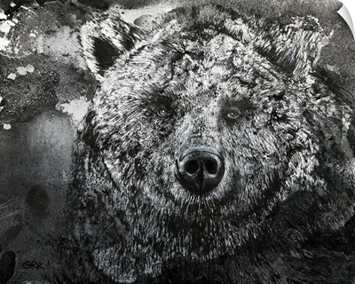 Black And White Illustration Of A Bear