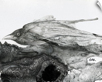 Black And White Illustration Of A Bird