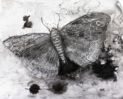 Black And White Illustration Of A Butterfly