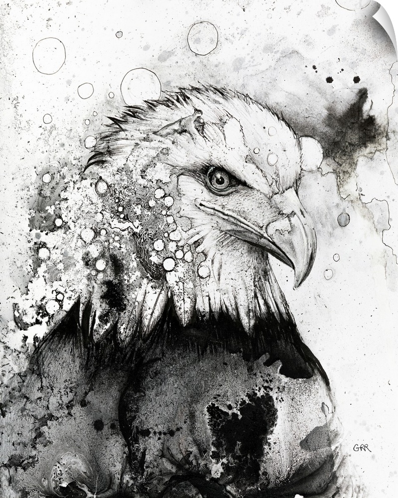 Black and white illustration of an eagle, illustration.