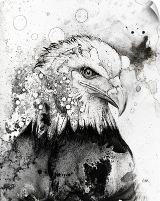 Black And White Illustration Of An Eagle, Illustration