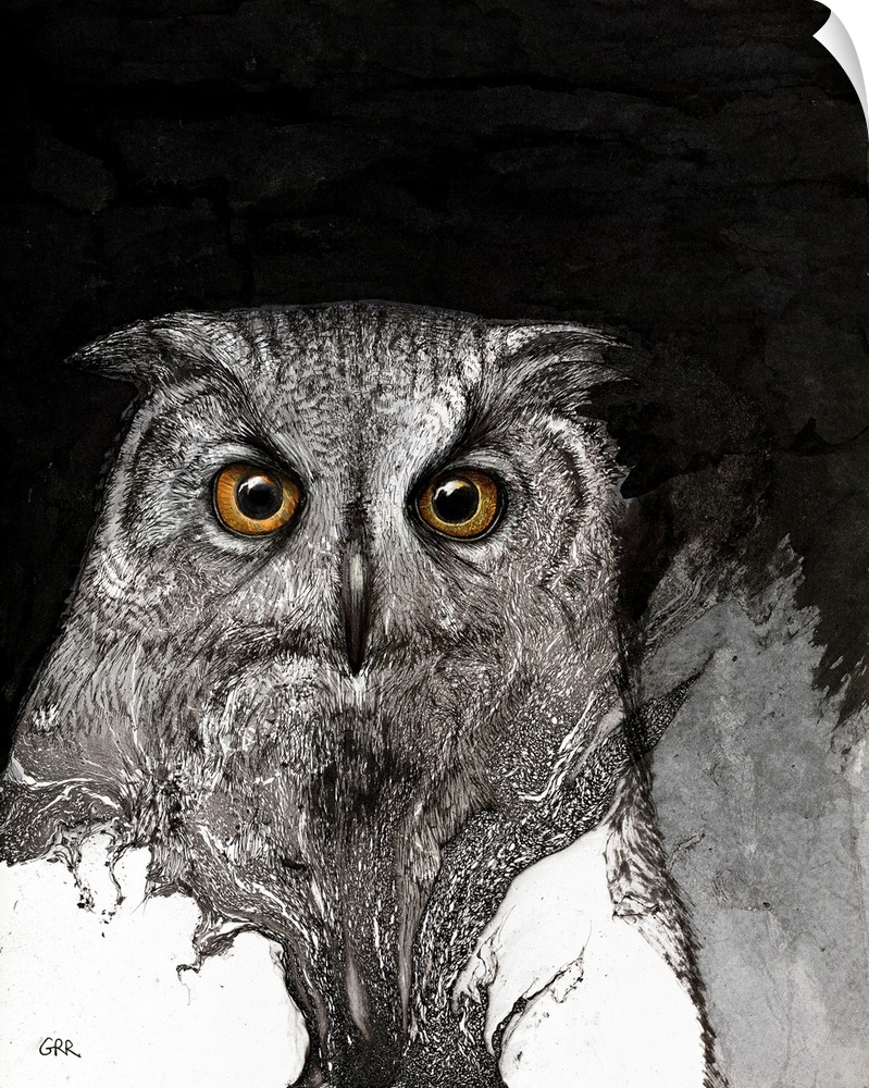 Black And White Illustration Of An Owl.