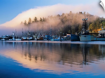 Boats Dock At Winchester Bay, Oregon