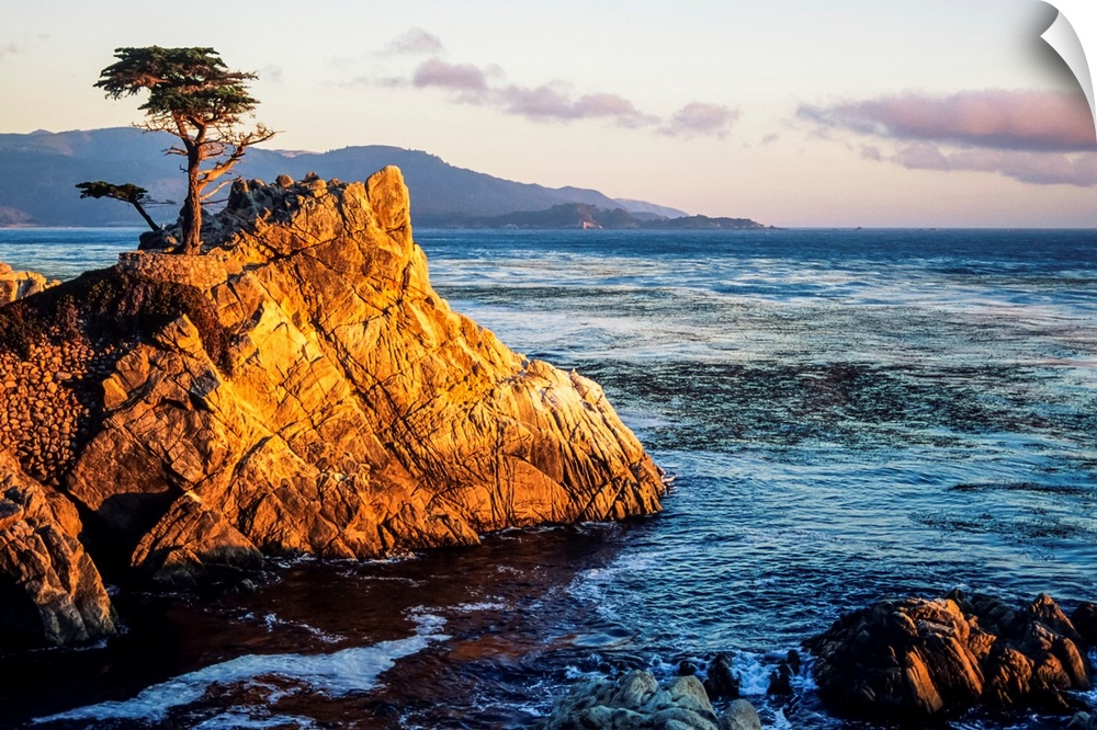 California, Big Sur Coast, Pebble Beach, Lone Cypress Tree And Rugged Rock