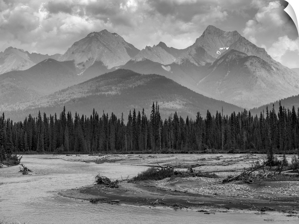 Black and white landscape of the rugged Canadian rocky mountains with a forest and a flowing river in the foreground; Inve...