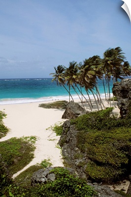 Caribbean, Barbados, Bottom Bay, Landscape Of Tropical White Sand