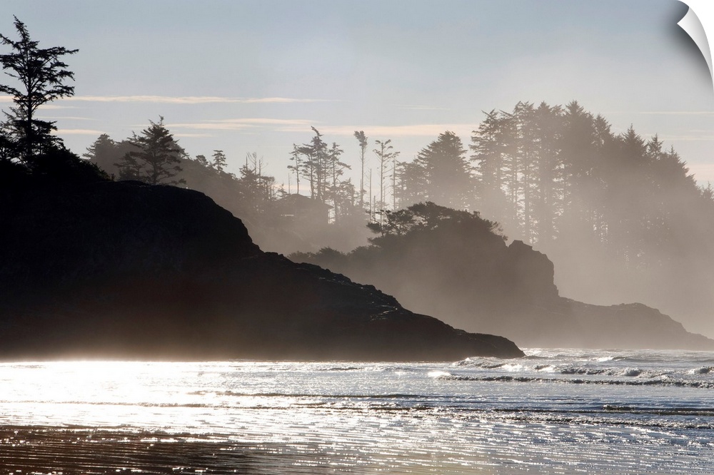 Mist rises of the sea against the silhouettes of rocks and trees in this shore line photograph taken in the morning.