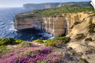 Cliffs Along Ocean With Wildflowers
