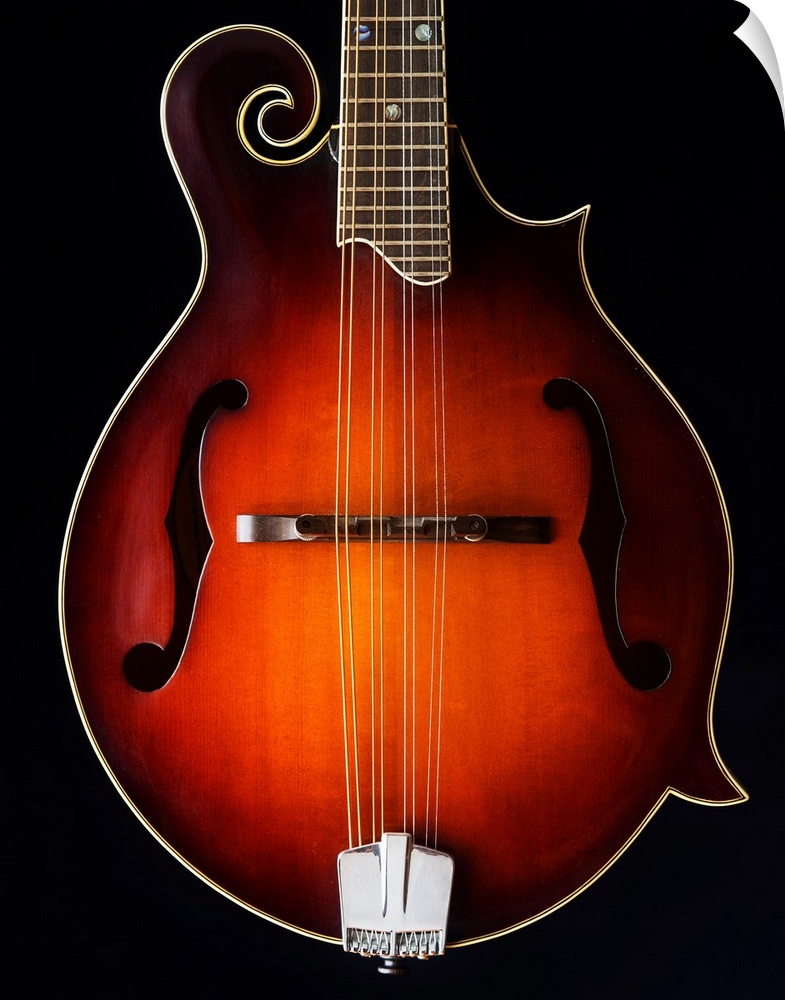 Close-up of a mandolin.