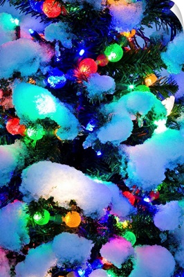 Close up of a multi colored Christmas tree lit at dusk outside in winter