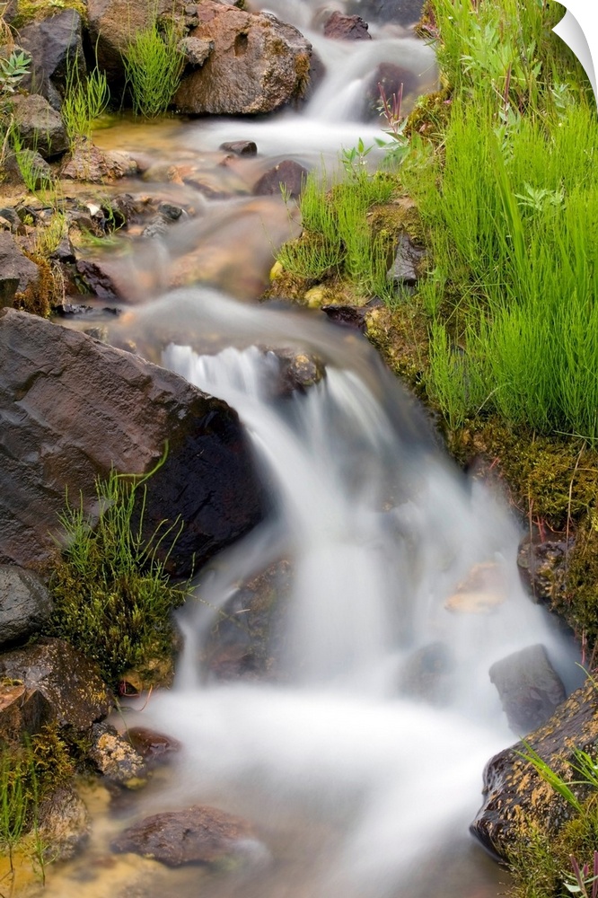 Vertical canvas print of a stream washing down a hill through rocks.