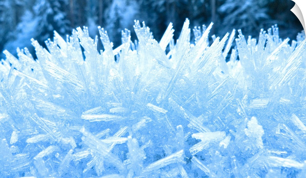 Close up of hoar frost along the North Fork of the Nooksak River during Winter, Mount Baker National Forest, Washington, USA