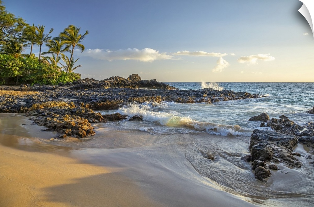 Coastline of Maui with rugged lava rock, a beach and palm trees; Kihei, Maui, Hawaii, United States of America.