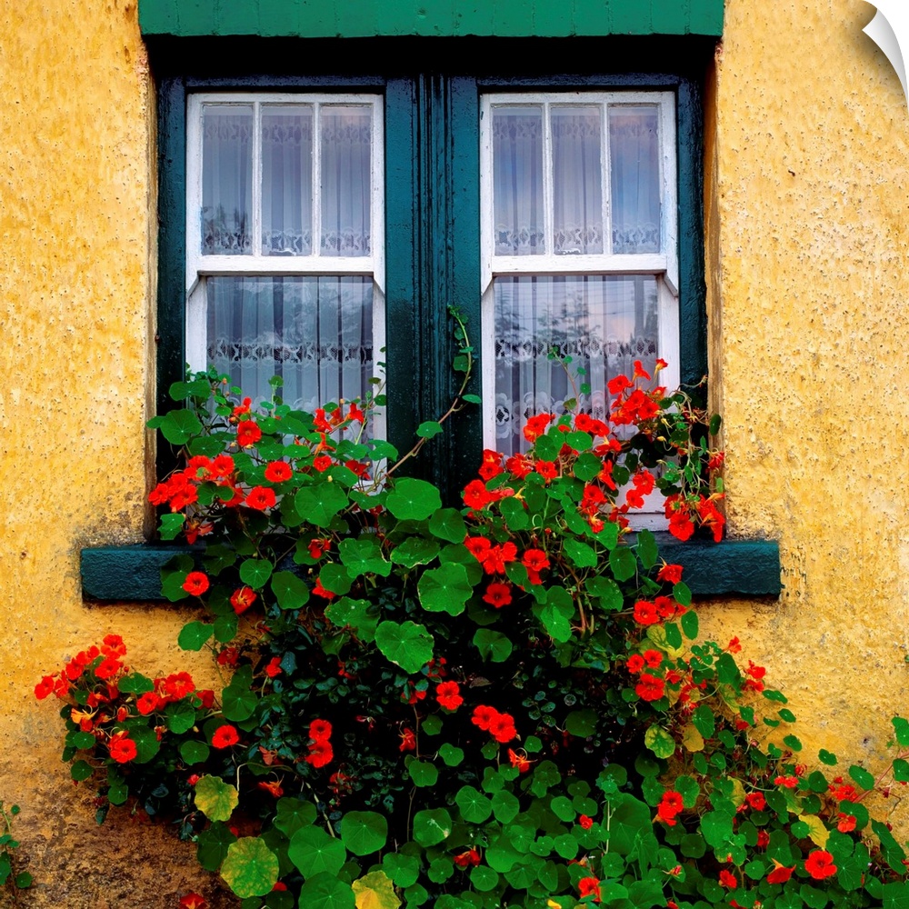 Cottage Window, County Antrim, Ireland