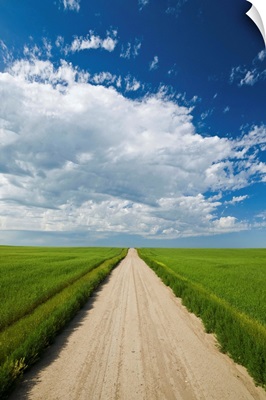 Country Road Through Grain Fields, Ponteix, Saskatchewan, Canada