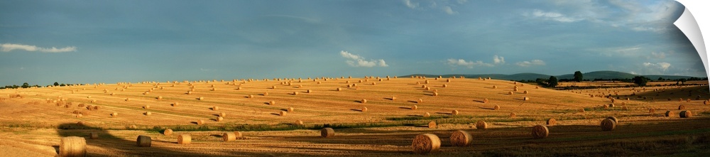 County Cork, Ireland, Hay Bales After The Harvest Near Mallow