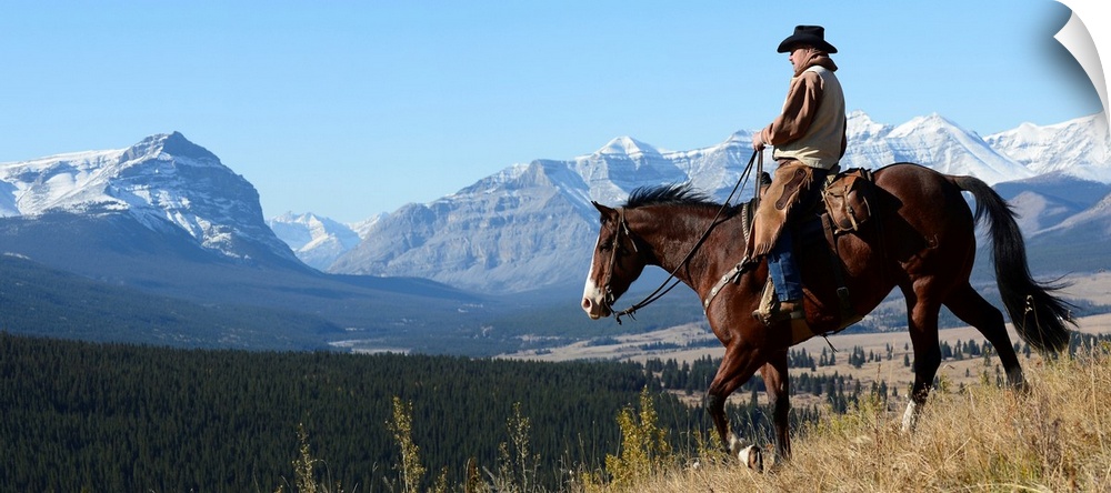 Cowboy riding with a view of the Rocky mountains, Ya-Ha-Tinda Ranch, Clearwater County, Alberta, Canada.