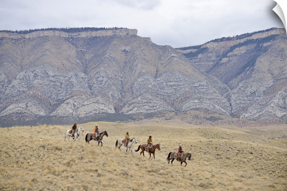 Cowboys and Cowgirls riding horse in wilderness, Rocky Mountain, Wyoming