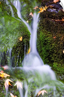 Crystal Springs Waterfall In Oregon