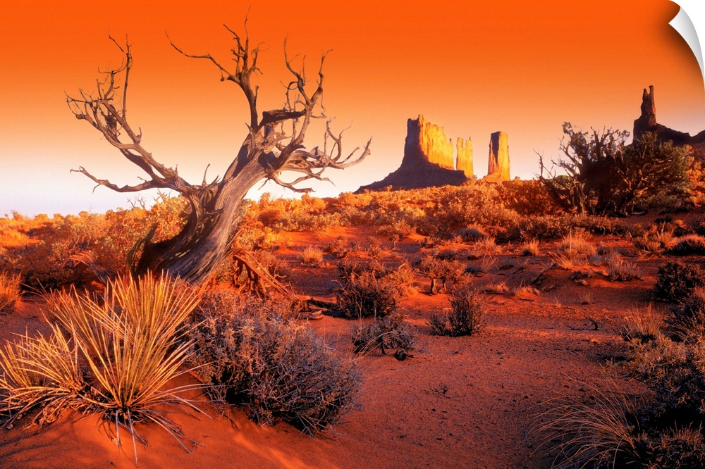 A lifeless tree stands alone in the desert that is covered with dry brush and a view of Monument Valley is shown in the ba...