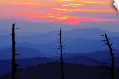 Dead Trees And Mountains, Smoky Mountains National Park, North Carolina, USA