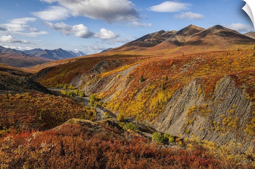 The autumn colours ignite the landscape in colour along the Dempster Highway, Yukon. An amazing, beautiful place any time ...