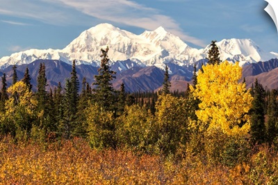 Denali, viewed from south of Cantwell, from the Parks Highway in Interior Alaska