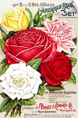 Dingee and Conard Co. rose bulb and seed catalog from 19th century
