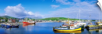 Dingle, Dingle Peninsula, Co Kerry, Ireland, Fishing Boast In A Harbour