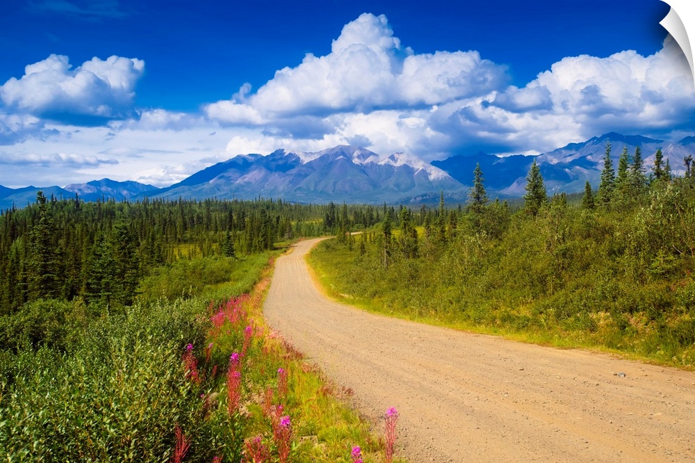 Landscape photograph on a big canvas of a dirt road curving through a forest of pines and wildflowers, mountains on the ho...