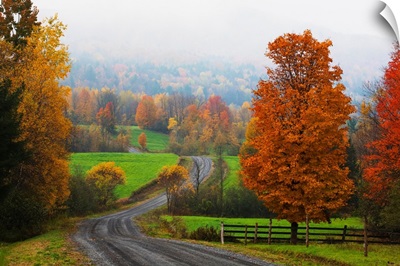 Dirt Road In Autumn With Early Morning Fog, Iron Hill, Quebec, Canada