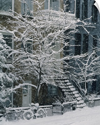 Drolet Street In Winter, Montreal, Quebec, Canada