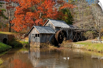 Ducks swimming in a pond at an old grist mill in an autumn landscape.; Mabry Mill, Meadows of Dan, Virginia.