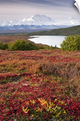 Early morning view of Mt. McKinley and Wonder Lake during Autumn