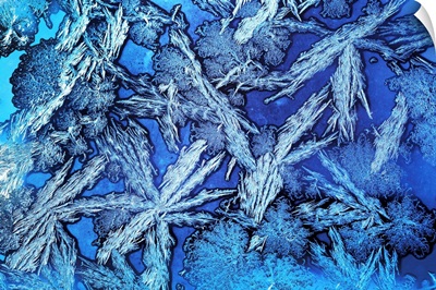Extreme Close-Up Of Frost Crystals Patterns On Glass, Calgary, Alberta, Canada
