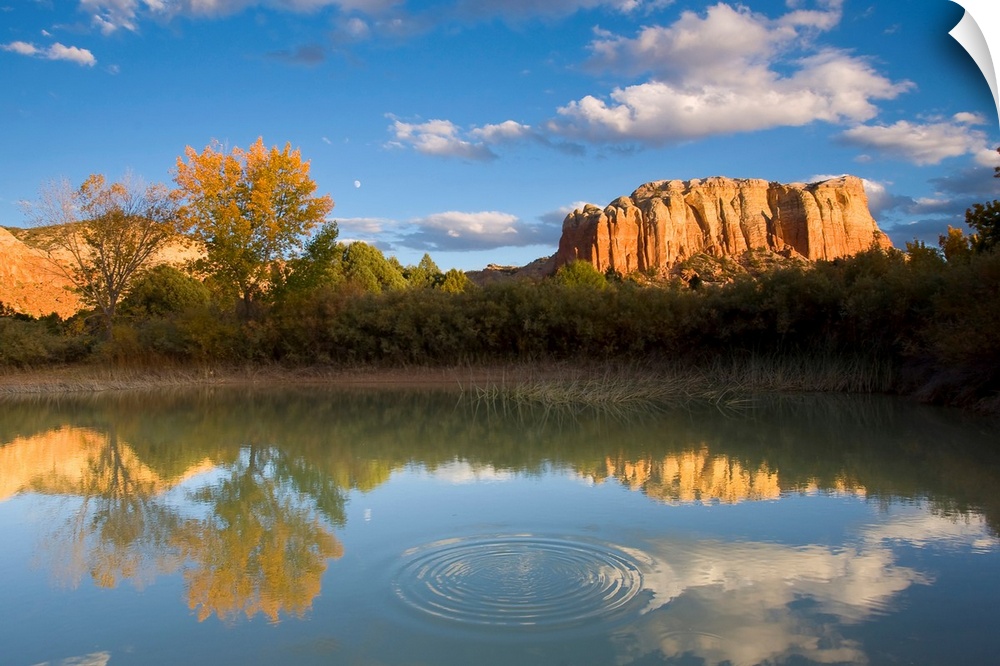 A small body of water is lined by thick brush with a large rock formation photographed in the background.