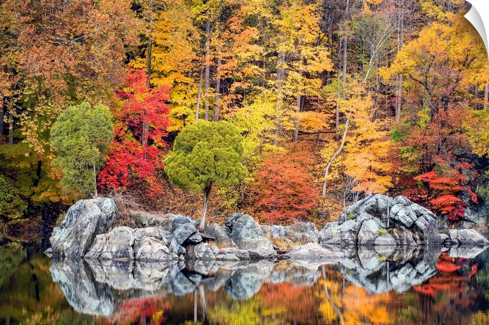 Fall coloured foliage along the C&O Canal, Chesapeake and Ohio Canal National Historical Park Cabin John, Maryland, United...