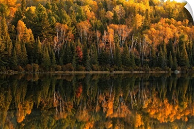 Fall Colors Reflected In The Waters Of Opeongo Lake, Algonquin Park, Ontario, Canada