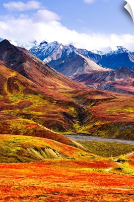 Fall Colours And Alaska Range, Denali National Park, Alaska, USA