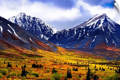 Fall Colours And Auriol Range, Kluane National Park, Yukon, Canada