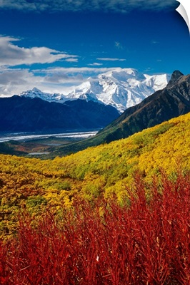 Fall Foliage Overlooking Kennicott Glacier SC Alaska