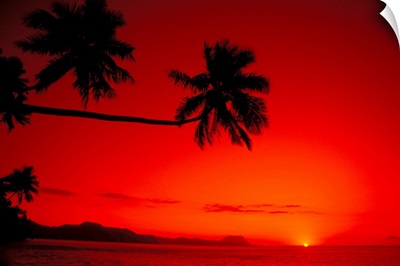 Fiji, Kadavu Islands, Sunset Palm Silhouetted Along Coast With Red Orange Sky