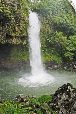 Fiji, Taveuni, Bouma National Heritage Park, Tavoro Waterfall