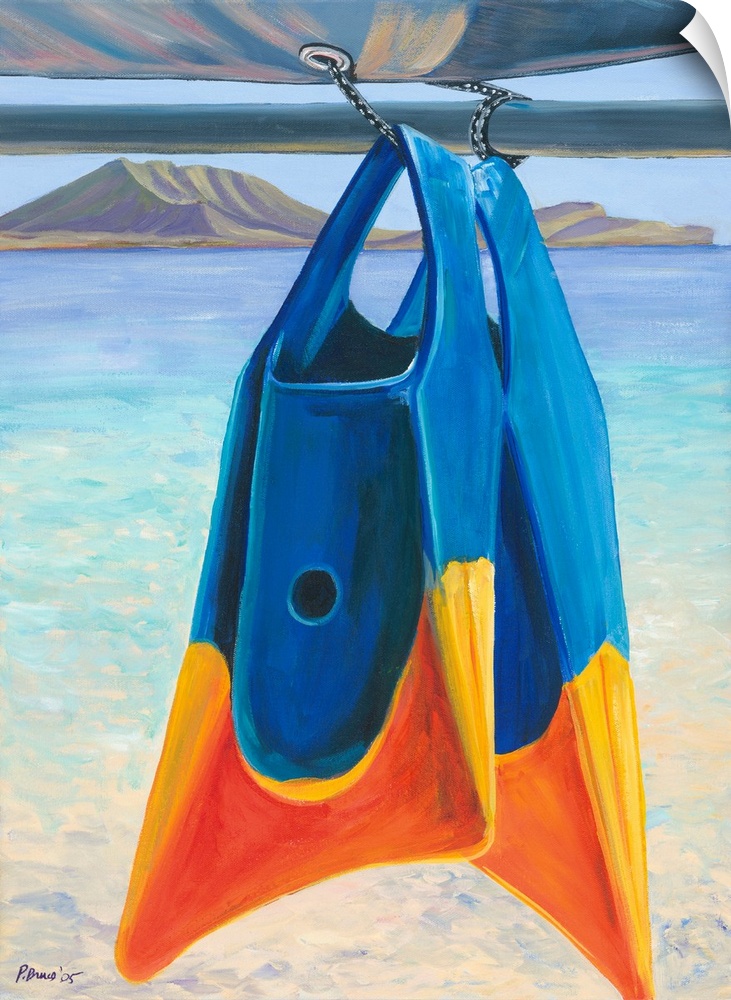 Fins, Colorful Swim Fins Hanging From Sailboat Tie (Acrylic Painting).