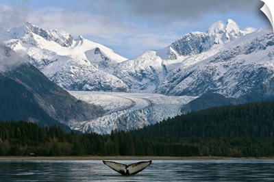 Fluke Of A Humpback Whale Emerges From The Water, Southeast Alaska