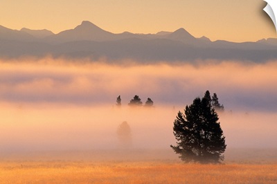 Fog At Sunrise, Pelican Valley, Yellowstone National Park, Wyoming