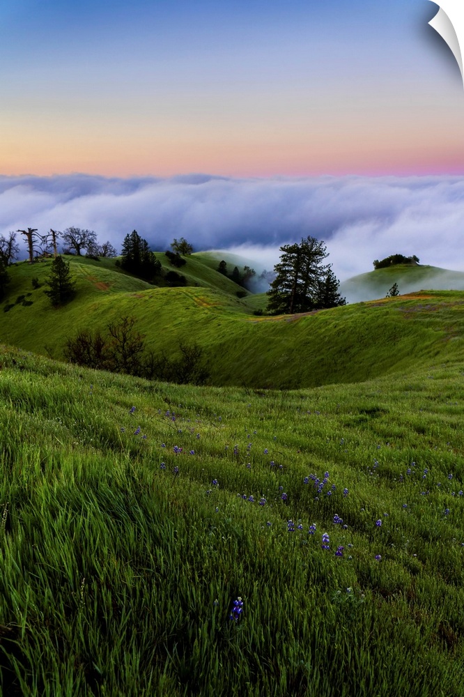 Fog banks rolling in off of the ocean with the sun setting below them, lush meadow on the rolling hills in the foreground,...